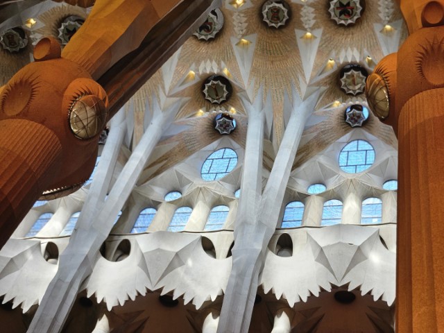 20260223_154442.jpg